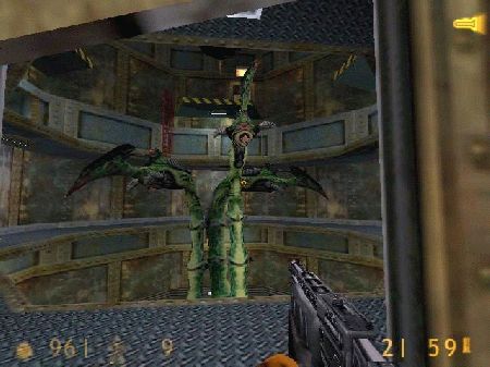Half-Life