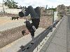 thps_44b.jpg